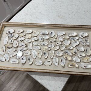 Framed Oyster Shell Art
